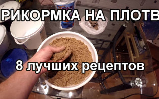 Зимняя прикормка для плотвы ~ Приготовление прикормки на плотву