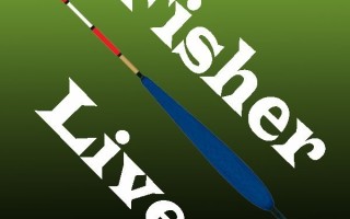 Изготовление поводочниц своими руками