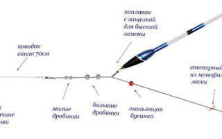 Поплавочная снасть: Оснащаем удилище для дальнего заброса