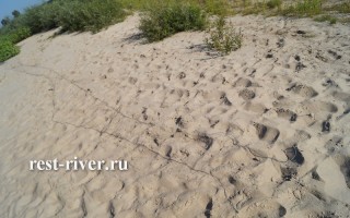 Рыболовные сети и виды рыб, Рыболовный магазин