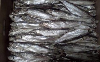Как засолить чехонь для сушки