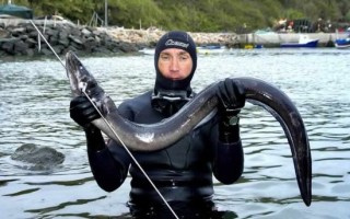 Гарпун для подводной охоты своими руками