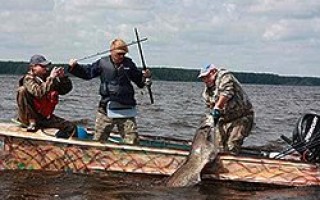 Ловля сома на донку с лодки