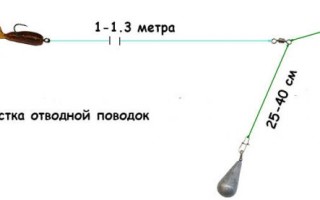 Отводной поводок в морской рыбалке