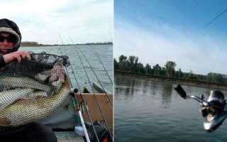 Оснастка на судака летом на спиннинг
