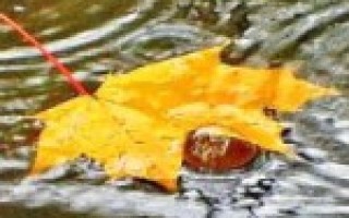 Рыбалка в дождливую погоду