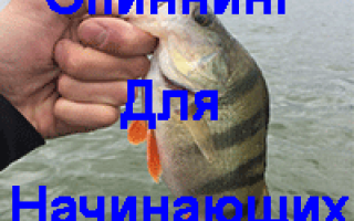Спиннинг для начинающих от А до Я