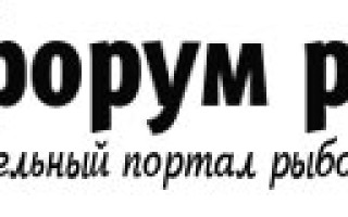Рыбалка в Ленинградской области в 2019 году: запреты и новый закон