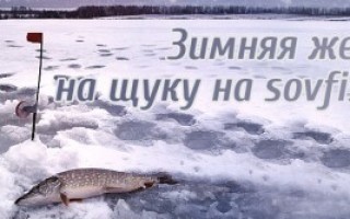 Как оснастить жерлицу на щуку, на окуня, процесс оснащения, тактика и техника ловли