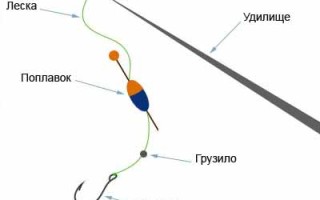 Удилища Для Ловли Поплавком