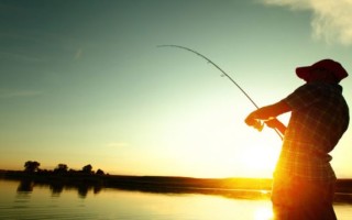 Как выбрать поплавочную удочку — читайте на Сatcher.fish