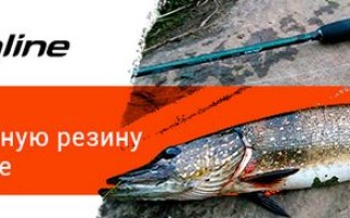 Техника ловли на неогруженный силикон