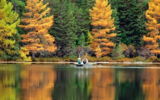 Как ловить чебака, ловим крупного чебака