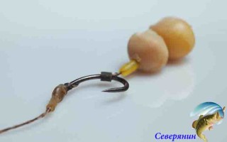 Горох — ловля на горох, способы приготовления и насаживания, горох для рыбалки