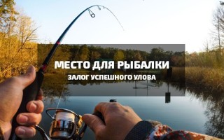 Как выбрать место для рыбалки?