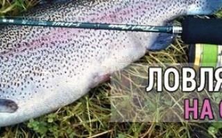 Как выбрать спиннинг для ловли форели. Строй, мощность, материал