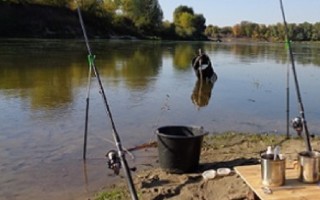 Как сохранить рыбу в жаркую погоду