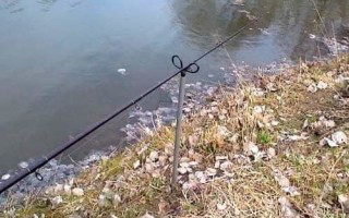 Специфика использования хищного фидера — читайте на Сatcher.fish