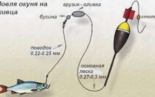 Ловля окуня на поплавочную удочку