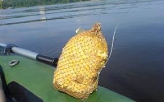 Прикормки для ловли подлещика и густеры на кольцо