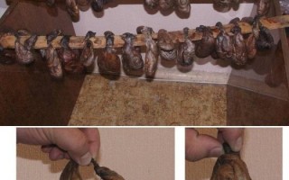 Бобровая струя от каких болезней лечит и как принимать настойку