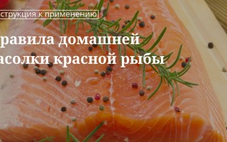 Солим вкусно рыбу в домашних условиях