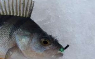 Уловистая мормышка кошачий глаз
