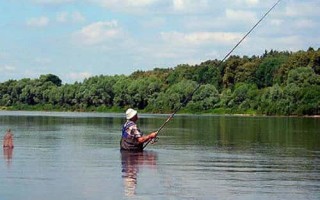 Болонская удочка: выбор снасти и особенности ловли