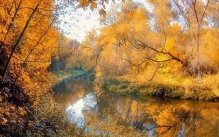 Приманки для щуки осенью: какая лучше? На какую приманку лучше ловить осенью щуку?