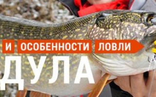 Изготовление мандулы своими руками на судака и на щуку