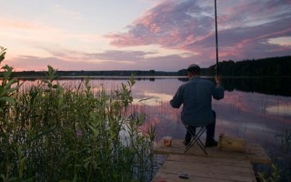 Приманка для плотвы летом