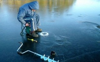 Прикормка для окуней советы при выборе