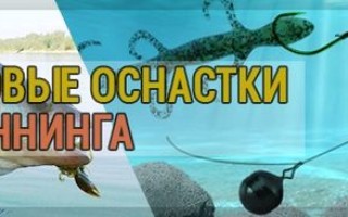 Снасти для спиннинга