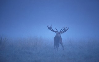 Что нужно для подводной охоты начинающим?
