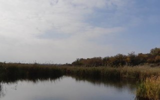 Особенности Ловли Карпа Осенью