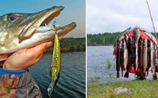 Ловля щуки осенью на спиннинг: приманки, техника ловли (сентябрь, октябрь)
