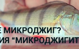 Спиннинг для микроджига