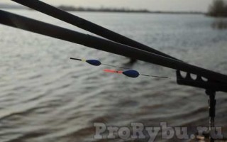 Ловля мирной рыбы на поплавочную удочку Секреты успешной рыбалки с удочкой