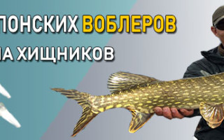 Какой спиннинг выбрать начинающему