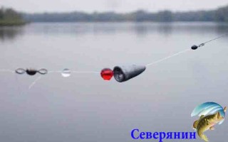 Каролина снасть для рыбалки
