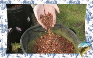 Прикормки для ловли карпа