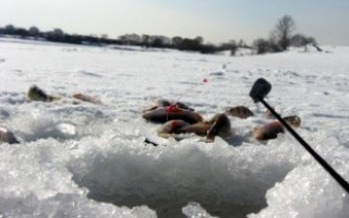 Ловля карпа зимой — читайте на Сatcher.fish
