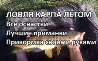Ловля карпа летом: в июне, июле, августе