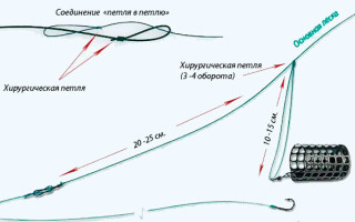 Петля Гарднера или оснастка патерностер для фидера, как вязать