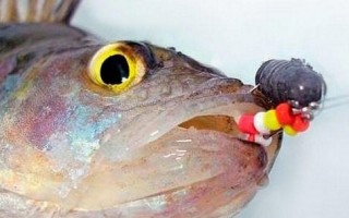 Балда для ловли окуня зимой своими руками