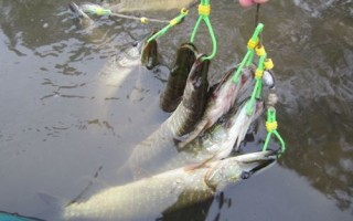 Самодельный кукан для рыбы своими руками