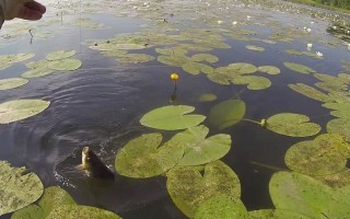 Рыбалка на мормышку летом все способы