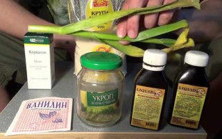 Ароматизаторы для рыбалки