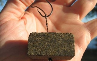 Ловля Карпа Осенью На Макушатник