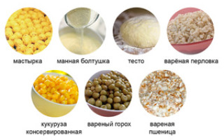 Прикормка для рыбалки на леща плотву карпа карася своими руками